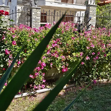 Chrysi's アパート ハニオティス