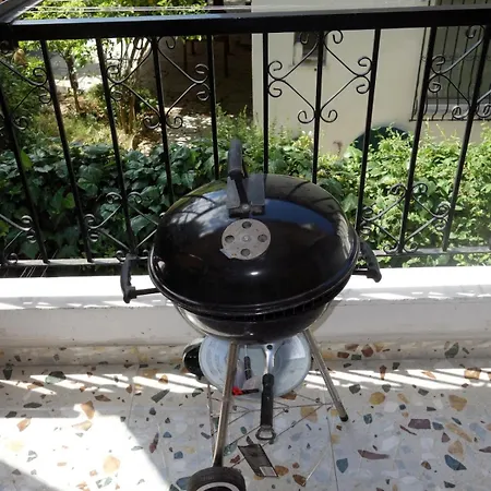 Chrysi's 하니오티