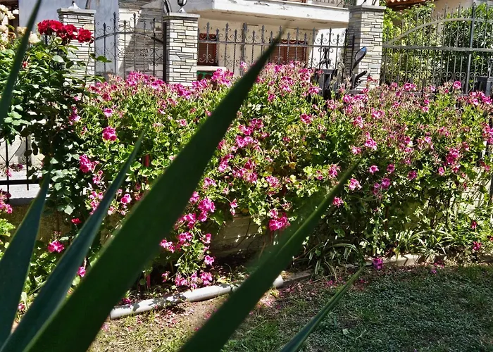 Chrysi's Appartement Chaniotis